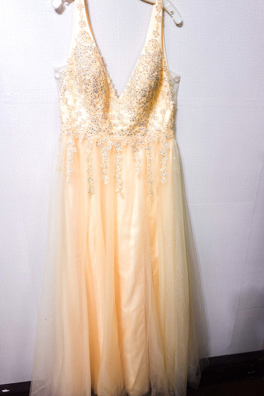 Blondie nites by Stacy Skllar, Evening Dress, Size 17 JUNIORS (L/XL)