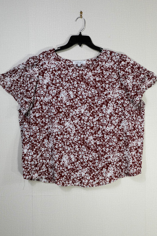 Sweet Rain, Short Sleeved Top, 2X
