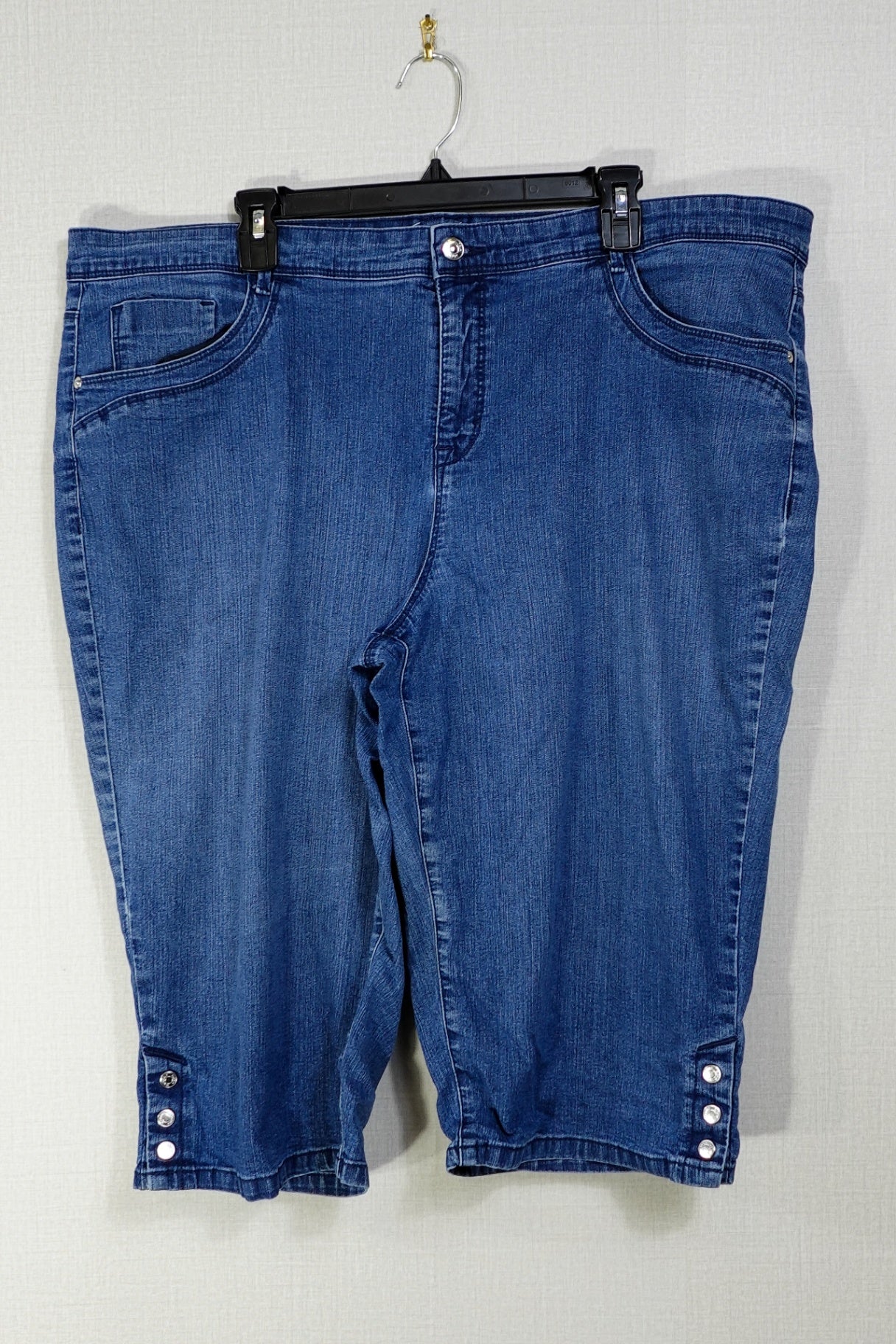 Gloria Vanderbilt, Skimmer shorts, 2X