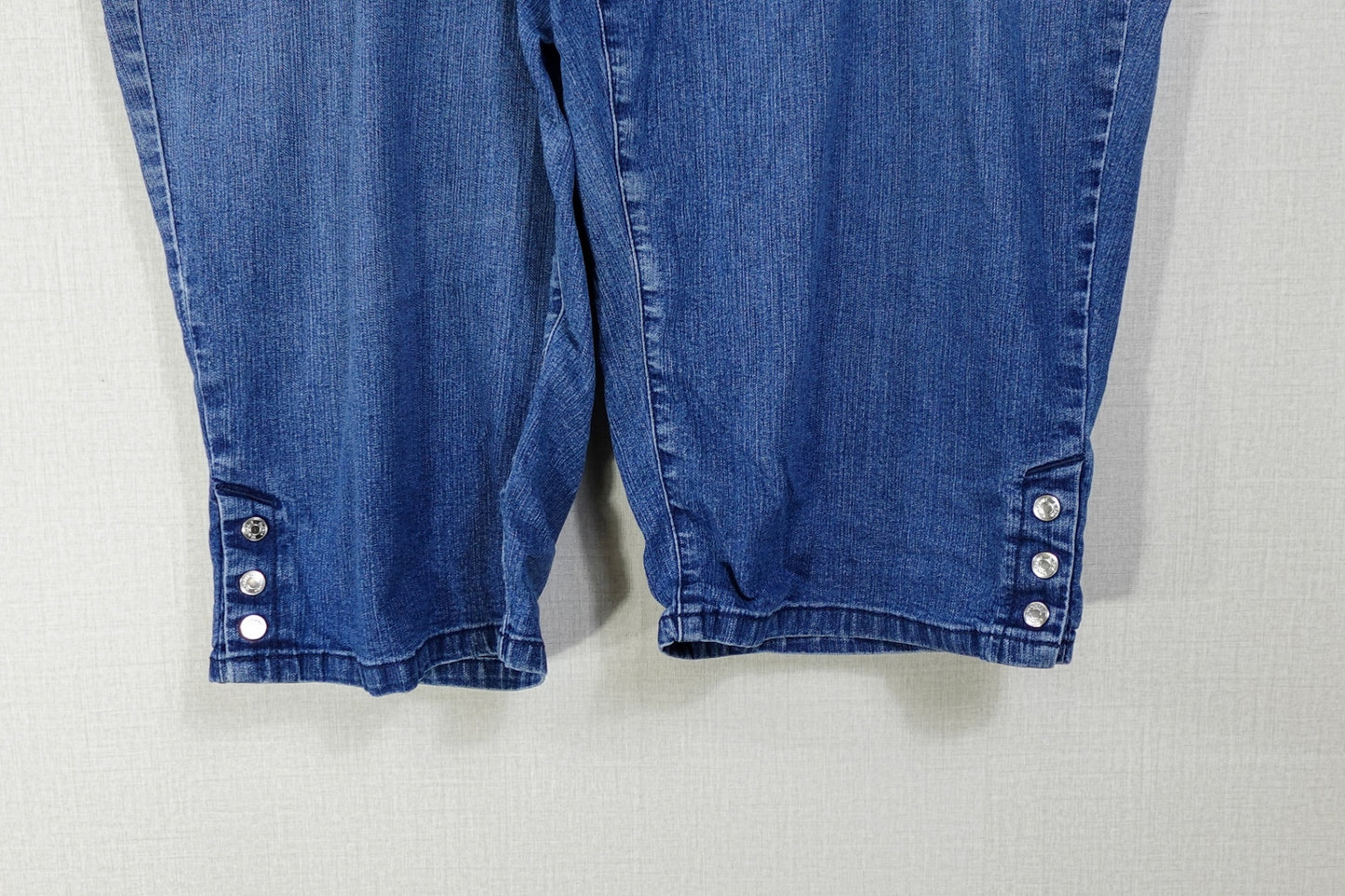 Gloria Vanderbilt, Skimmer shorts, 2X