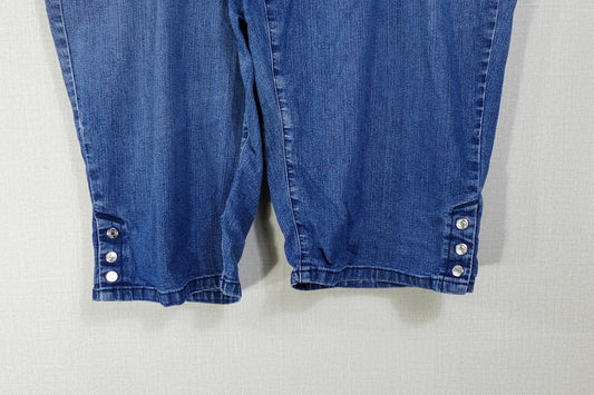 Gloria Vanderbilt, Skimmer shorts, 2X