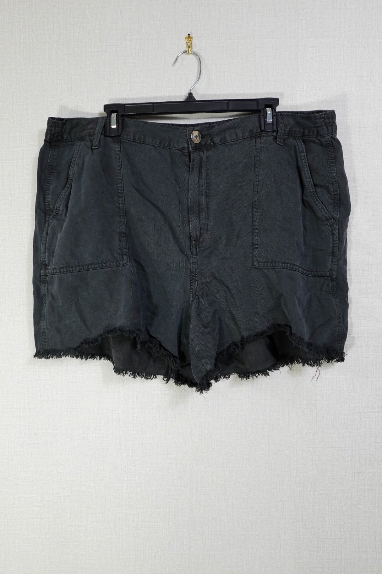 Aerie, Shorts, 2X