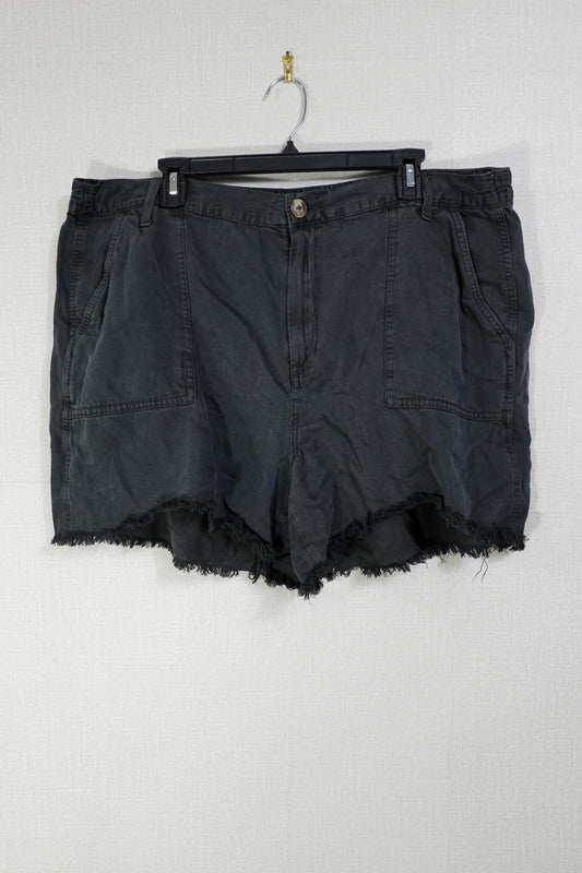 Aerie, Shorts, 2X