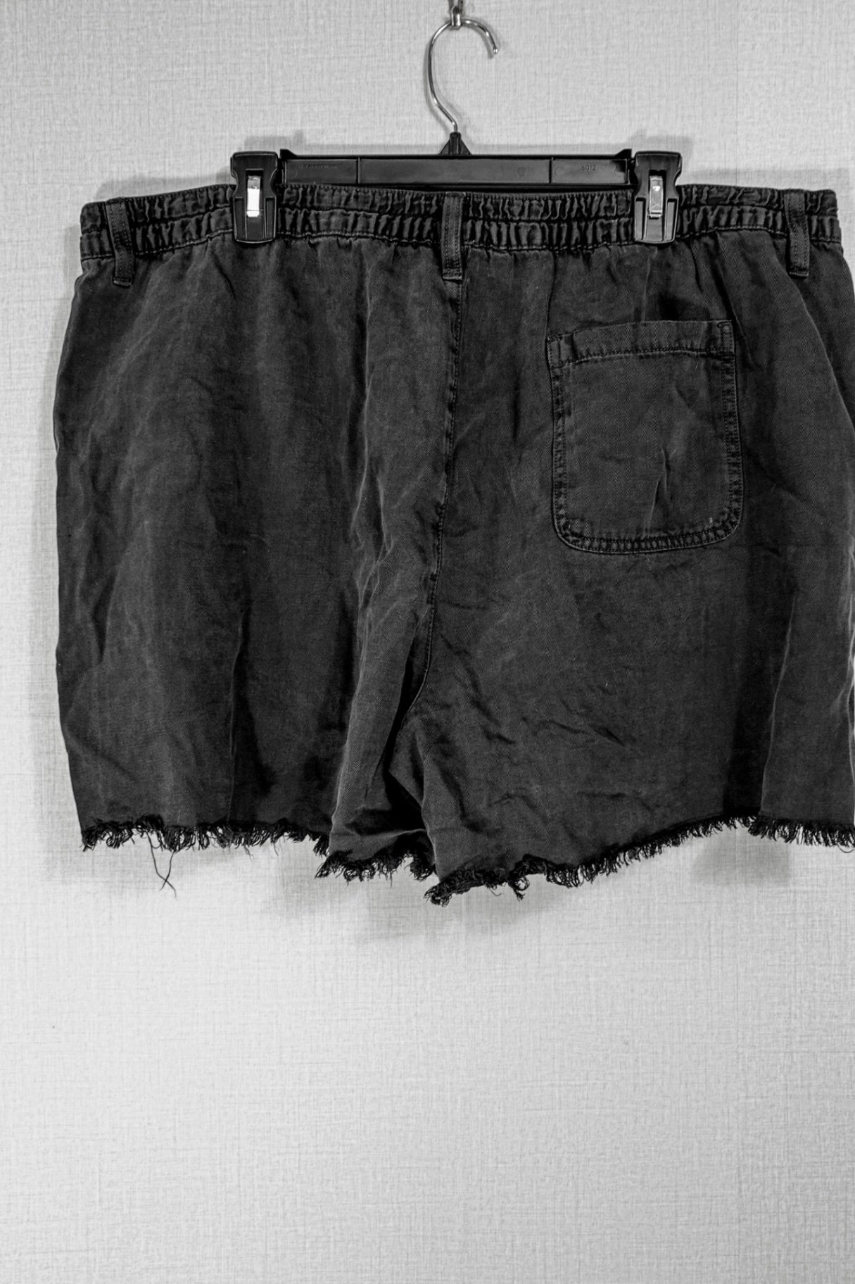 Aerie, Shorts, 2X