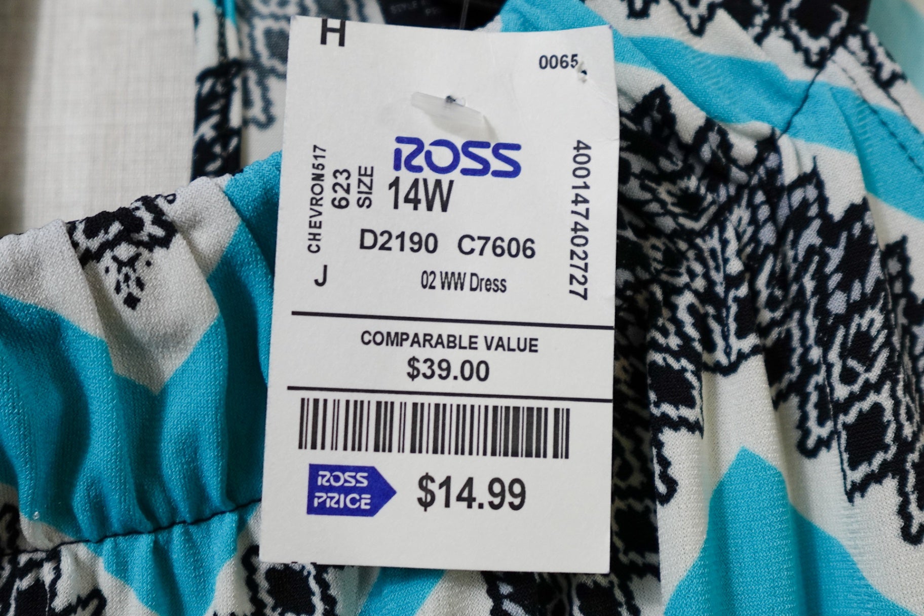 En Focus, New Dress, 14W