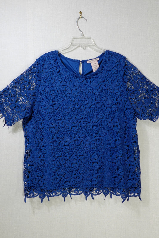 philosophy , Short Sleeved Top, XXL/2XG