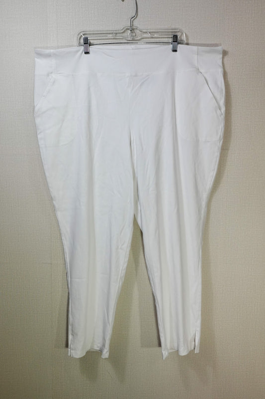 Women with Control, Pants - Straight, 4X