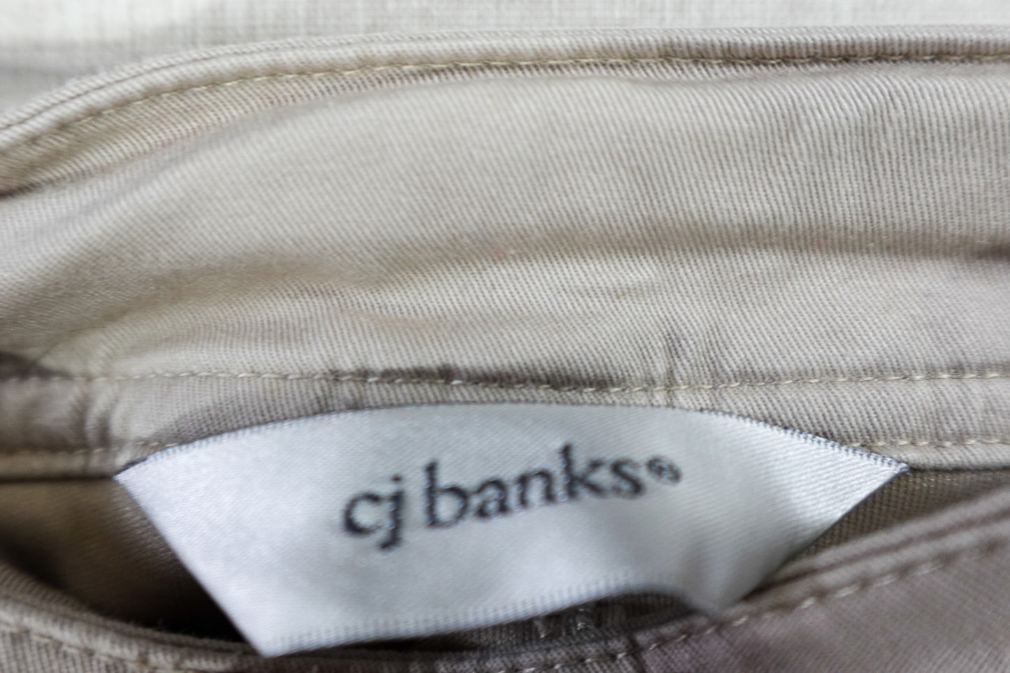 CJ Banks, Skirt, 24W