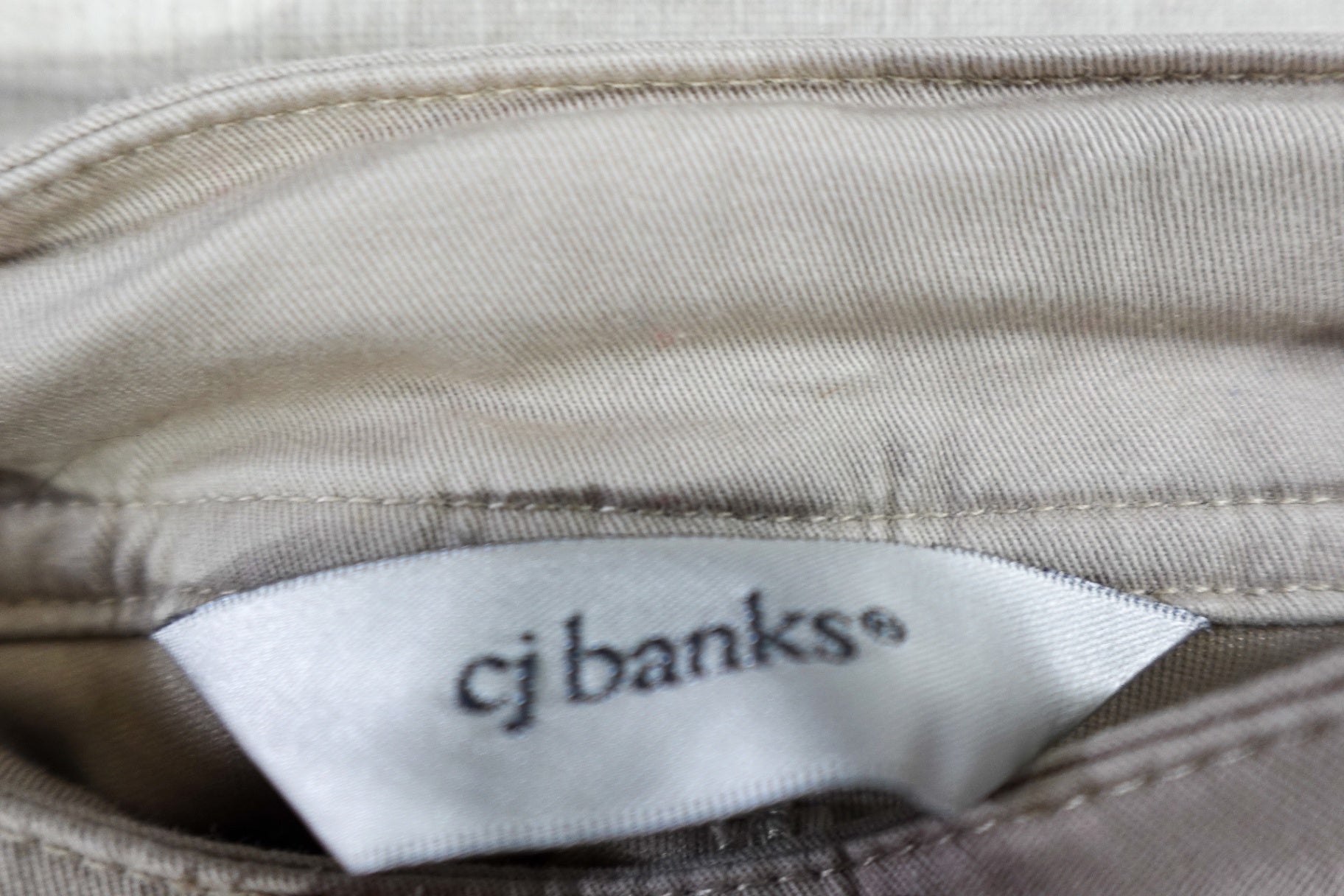 CJ Banks, Skirt, 24W