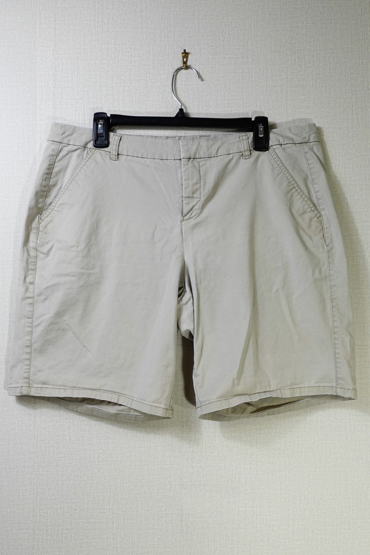 Lane Bryant, Shorts, 16