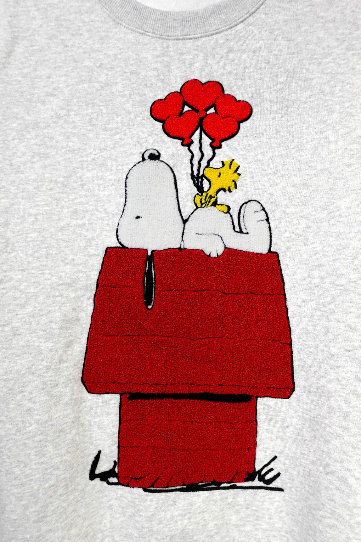 Peanuts, New Sweatshirt, 1X