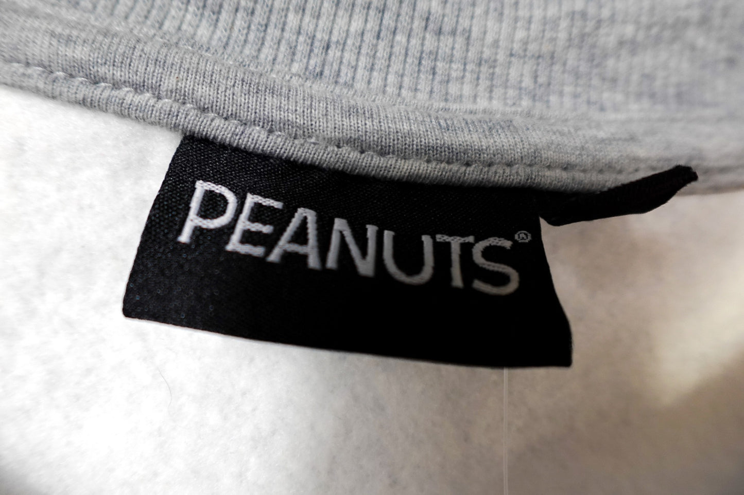 Peanuts, New Sweatshirt, 1X
