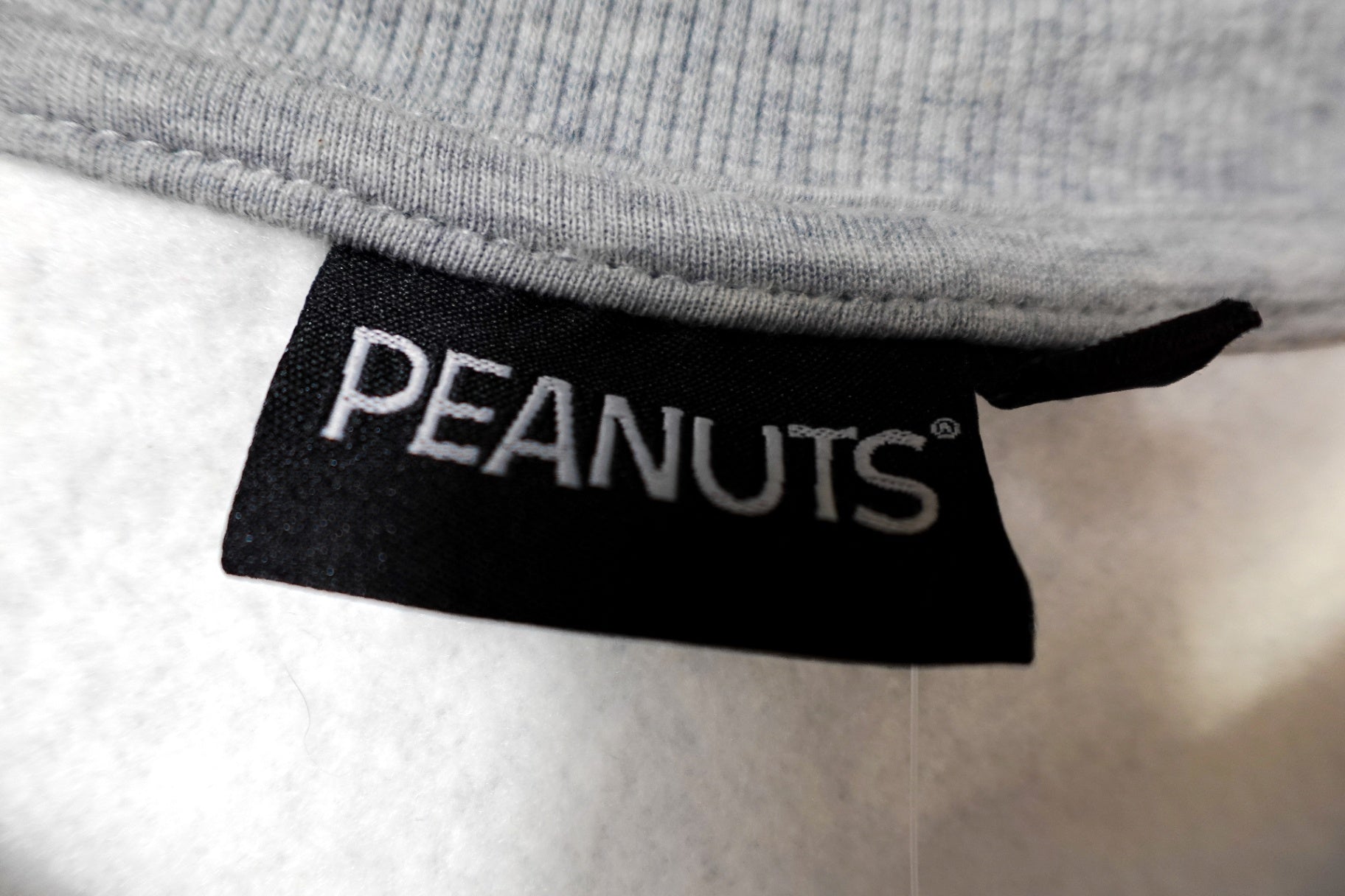 Peanuts, New Sweatshirt, 1X