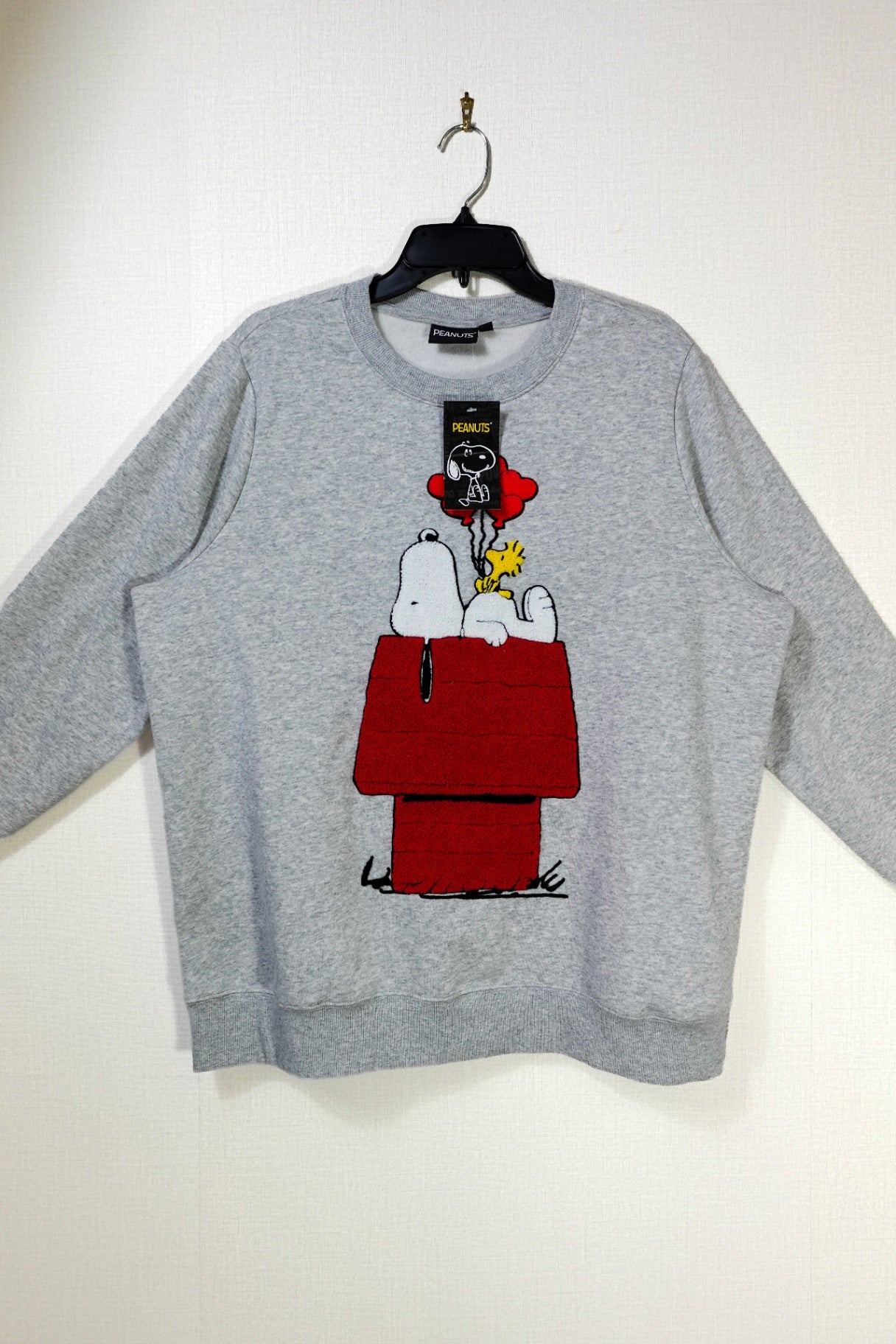 Peanuts, New Sweatshirt, 1X