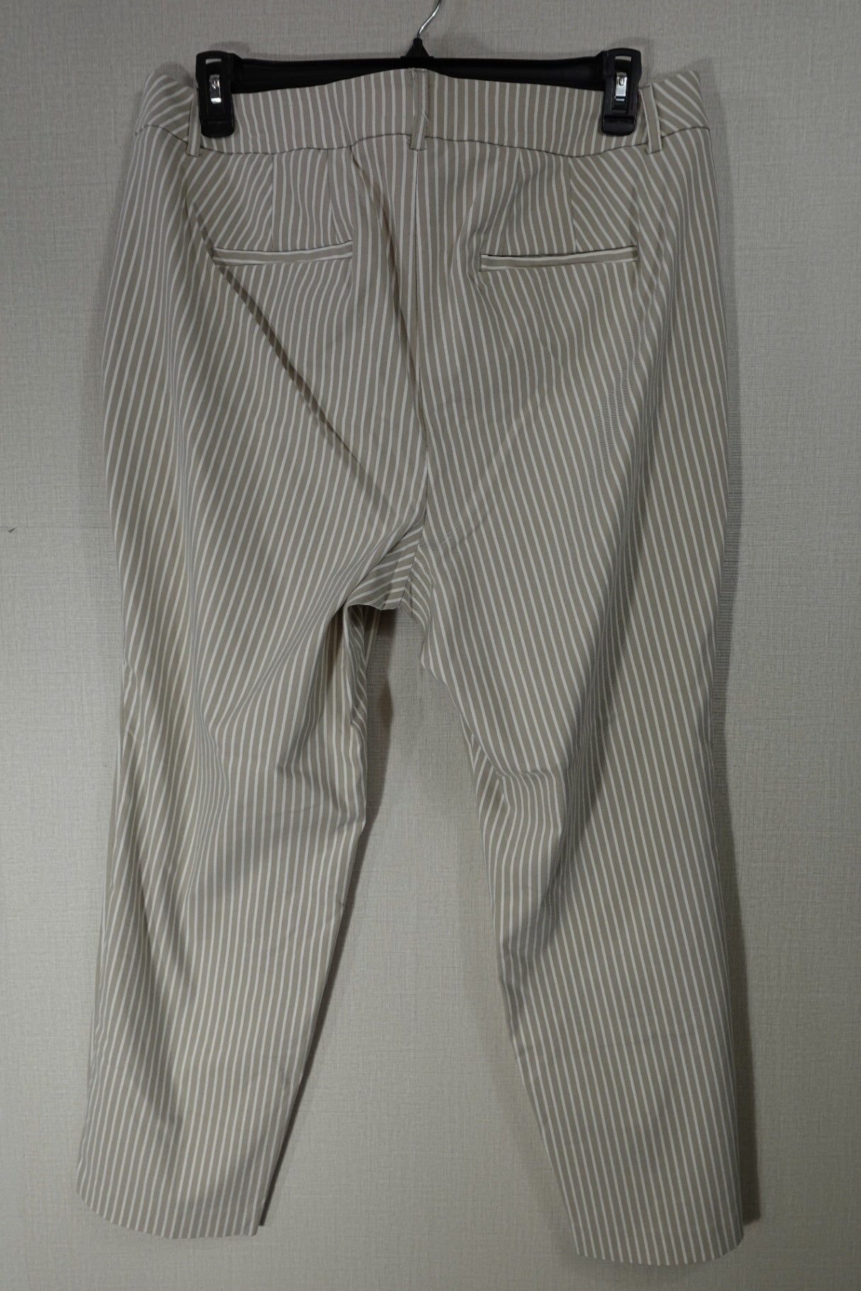 Lane Bryant, Pants, 18