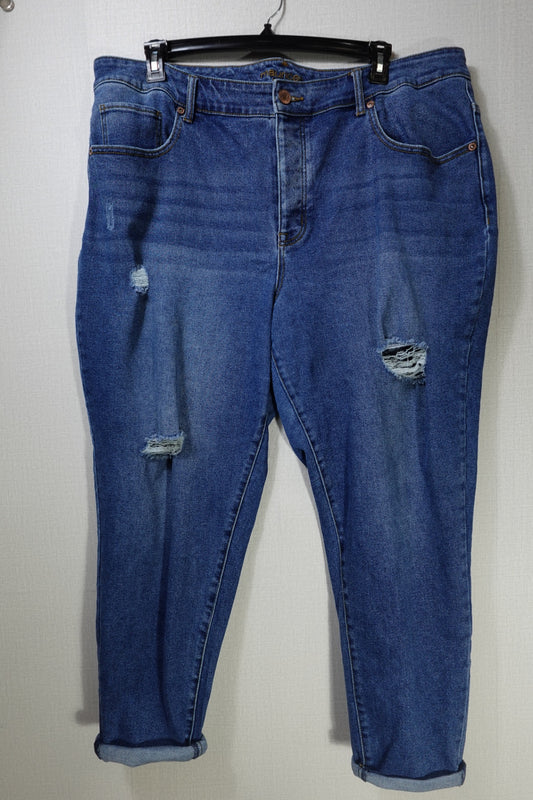 Maurices, Jeans, 22W REG