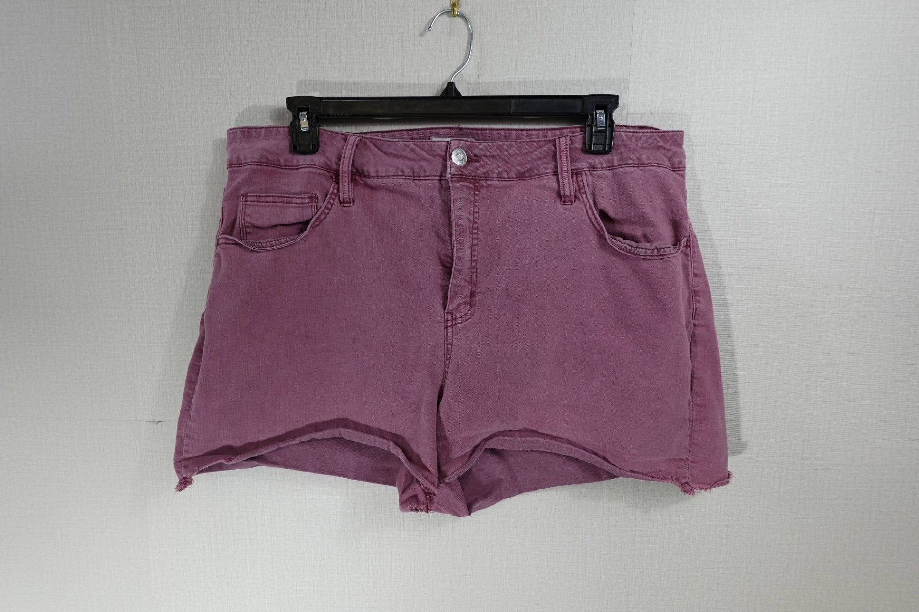 Ava & Viv, Shorts, 20W