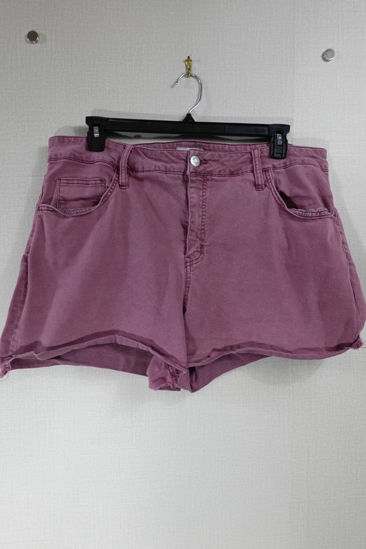 Ava & Viv, Shorts, 20W