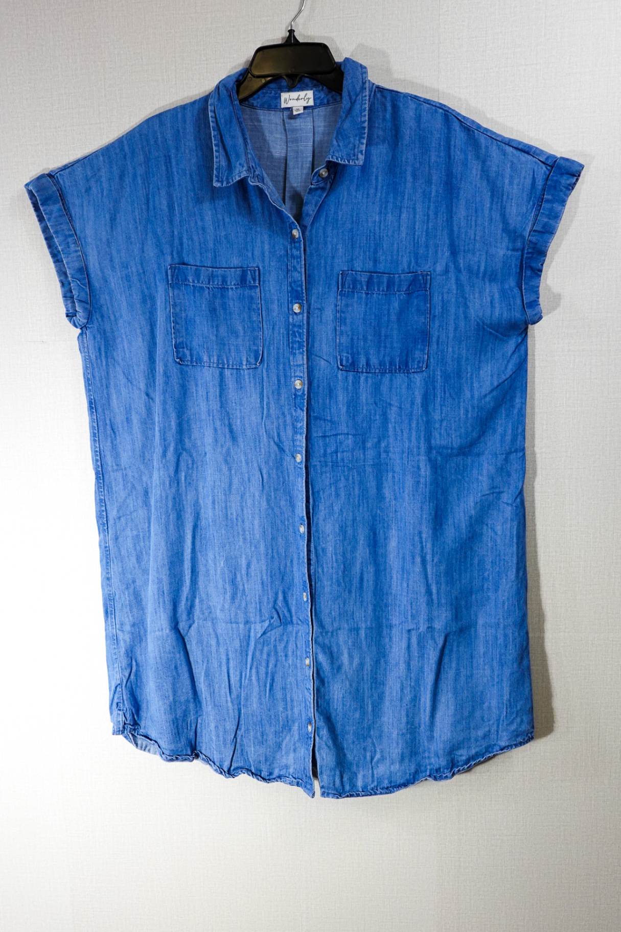 Wonderly, Dress, 1X, Blue