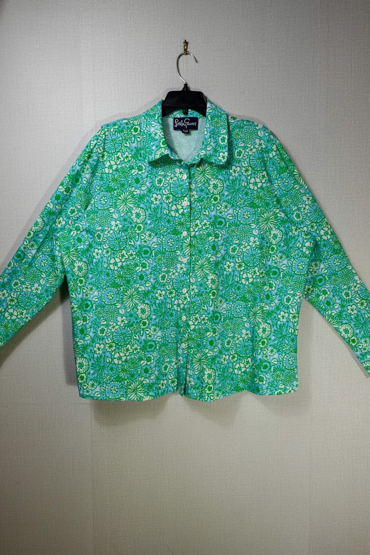 Lesley Evers, Long Sleeves Top, 2X,